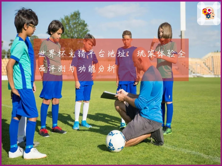 世界杯竞猜平台地址：玩家体验全面评测与功能分析