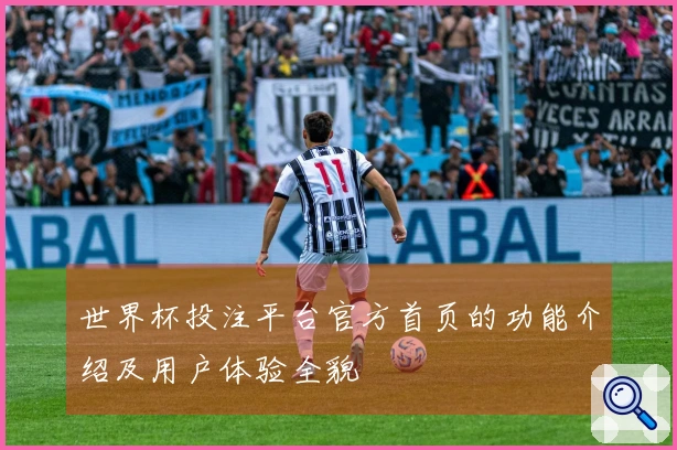世界杯投注平台官方首页的功能介绍及用户体验全貌