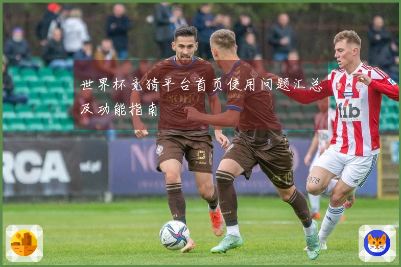 世界杯竞猜平台首页使用问题汇总及功能指南