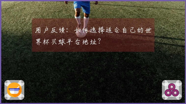 用户反馈：如何选择适合自己的世界杯买球平台地址？