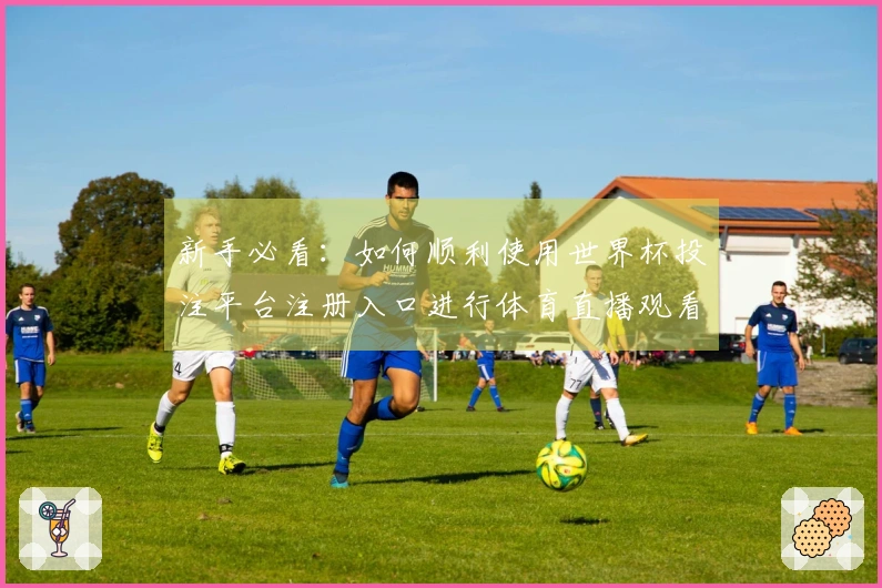 新手必看：如何顺利使用世界杯投注平台注册入口进行体育直播观看