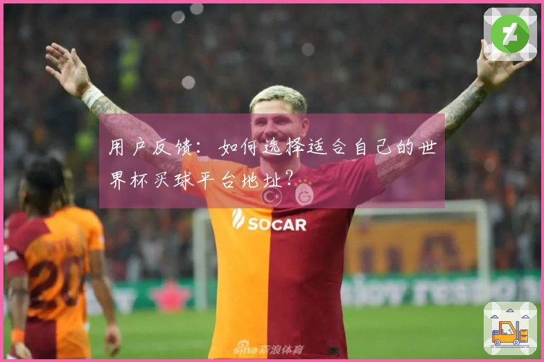 用户反馈:如何选择适合自己的世界杯买球平台地址?