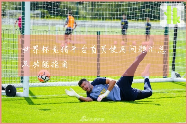 世界杯竞猜平台首页使用问题汇总及功能指南