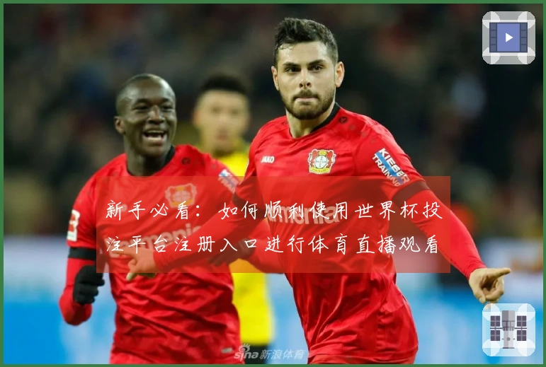 新手必看:如何顺利使用世界杯投注平台注册入口进行体育直播观看